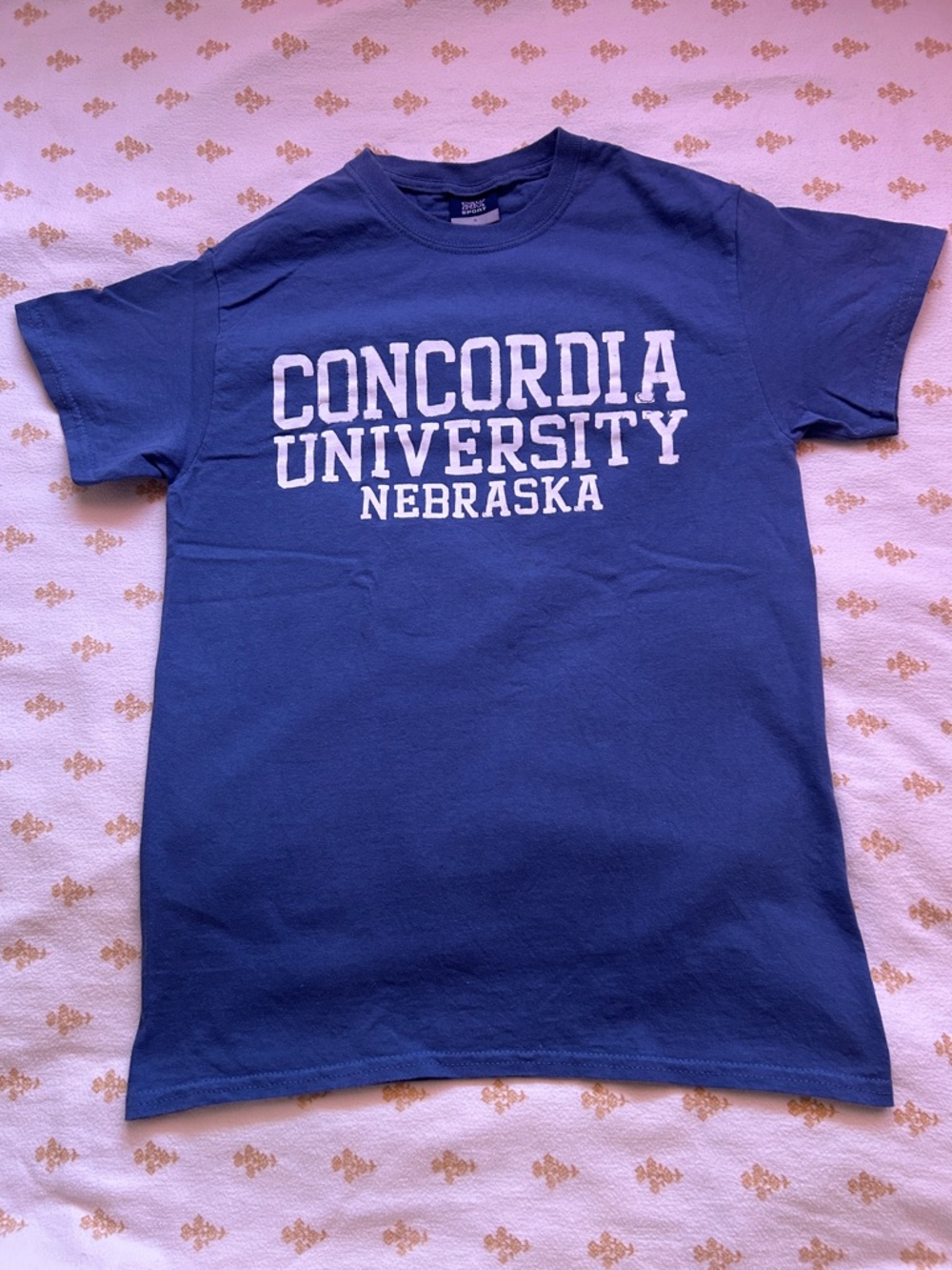 Men's Blue Crewneck T-Shirt